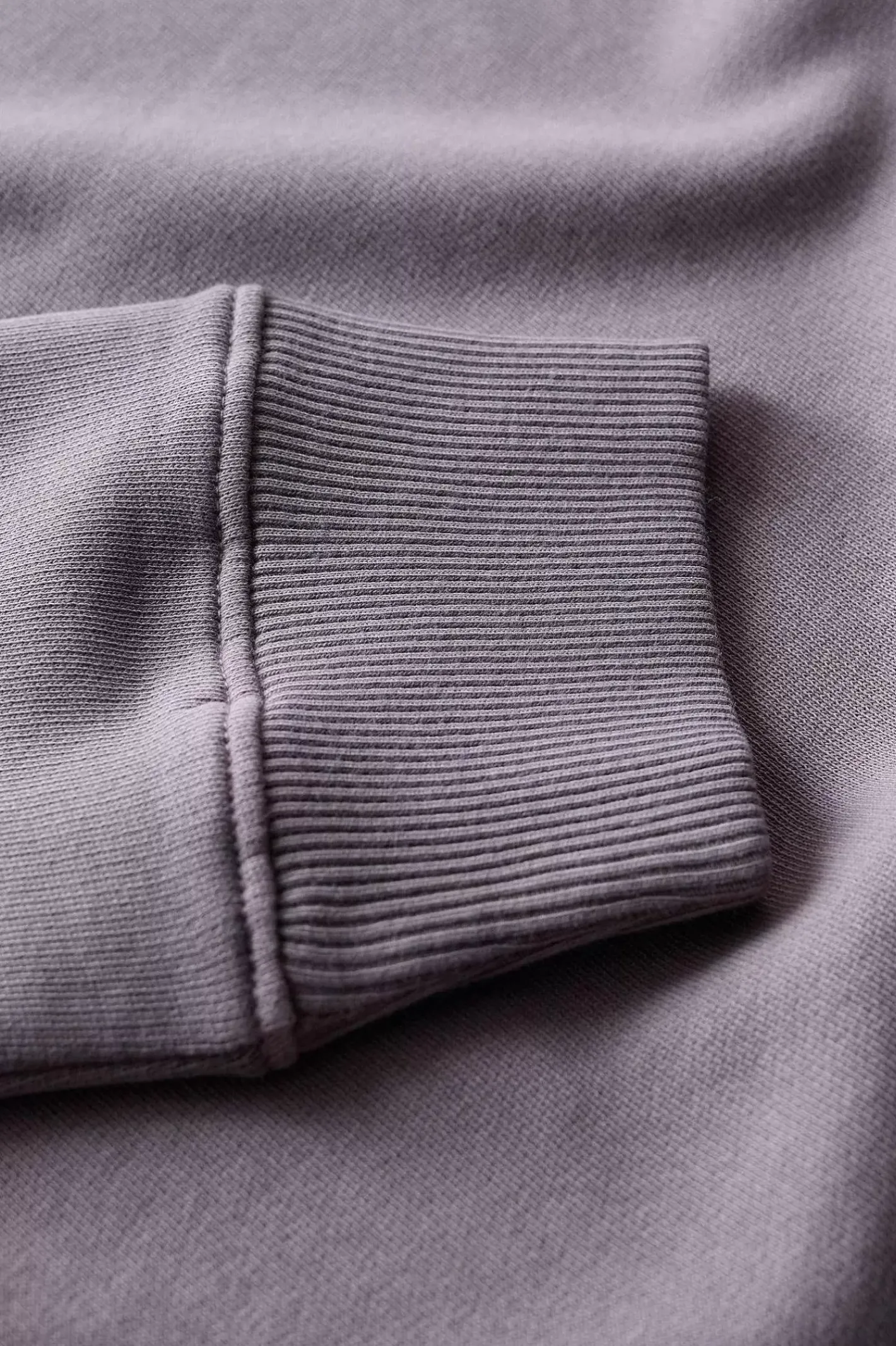 Women Seasalt Cornwall Hawkmoth Organic Cotton Sweatshirt